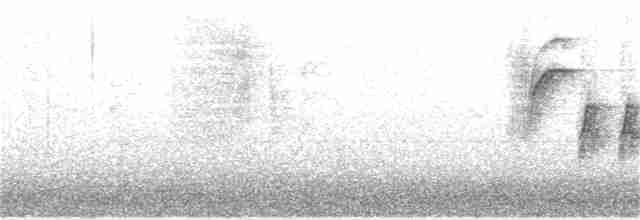 Длиннохвостый крапивник - ML182538521