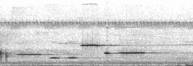 Тріскопліт рудолобий (підвид arada) - ML182544