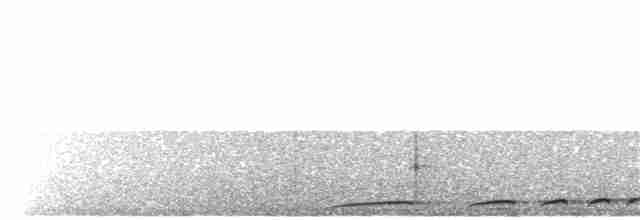 White-throated Nightjar - ML182552821