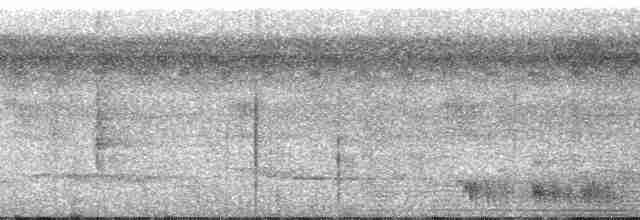 Band-tailed Antshrike - ML182570