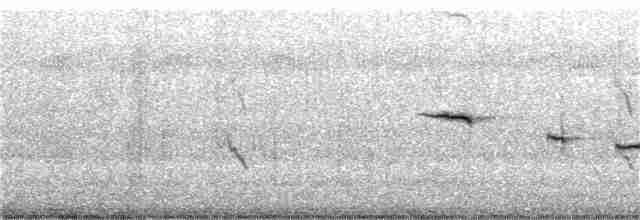 Tüpfelborstenvogel - ML182570471