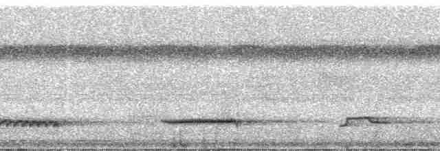 White-necked Thrush (Gray-flanked) - ML182591