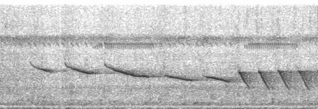 Riverbank Warbler (Northern) - ML182595