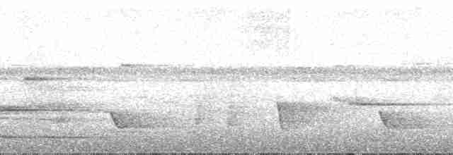 Büyük Karatüfek - ML182601