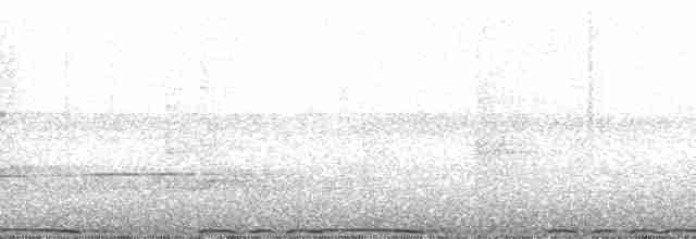 holub límcový - ML182603