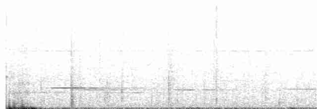 Tinamou de Bartlett - ML182608201