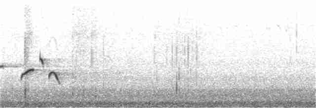 Tüpfelborstenvogel - ML182613221