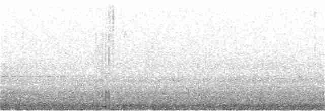 Tüpfelborstenvogel - ML182613231
