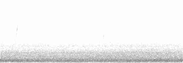 Tüpfelborstenvogel - ML182613261