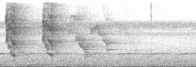 Клинохвостый фиговый попугайчик - ML182614