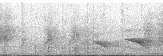 svartbuklarveeter - ML182619