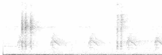 White-chinned Woodcreeper - ML182659731