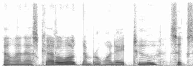 Белокрылая дриада - ML182661