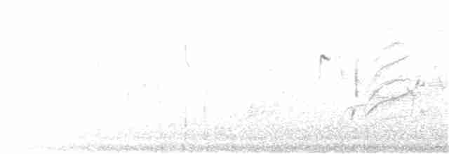 Желтогрудый радужник (striatus) - ML182693931