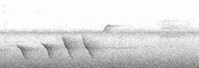 Sclater's Whistler - ML182701