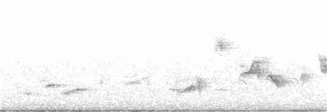 Graumantel-Brillenvogel - ML182719121