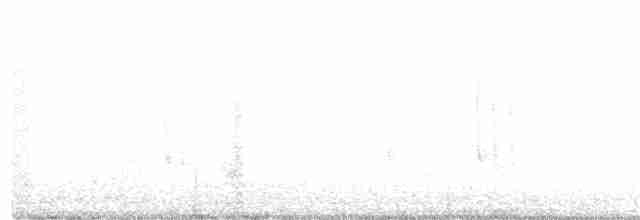 Широкохвостый колибри - ML182740521