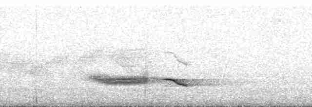 Белокрылая дриада - ML182781