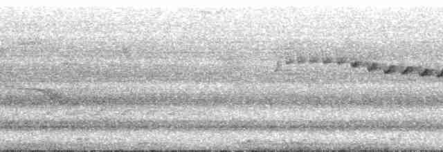 Белокрылая дриада - ML182784
