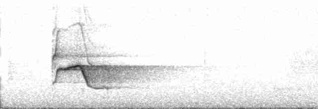 Kestane Sırtlı Balkuşu - ML182802