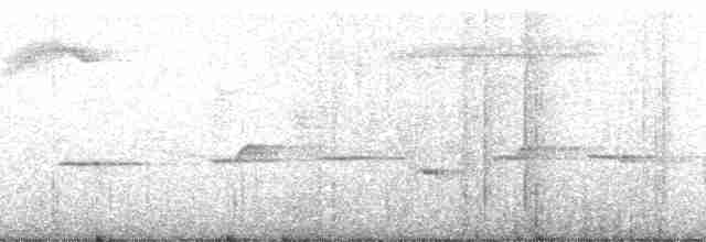 Короткоклювая веерохвостка - ML182819