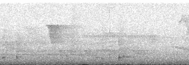 Sclater's Whistler - ML182828
