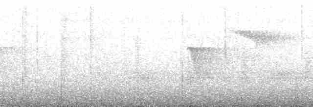 Sclater's Whistler - ML182836