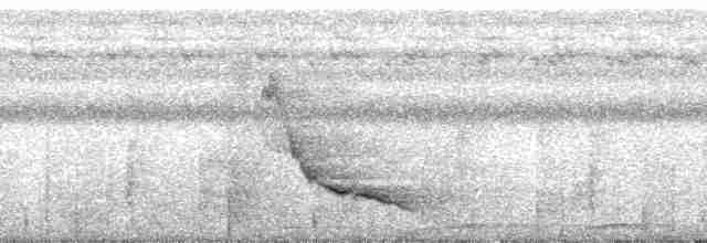 Сероголовый монарх - ML182846