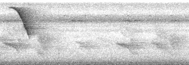 Квічаль буроволий (підвид eichhorni) - ML182855