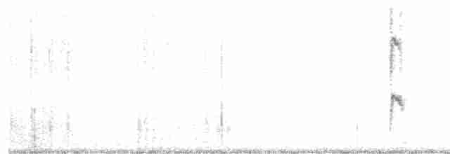 Song Sparrow (sanaka/maxima) - ML182873051