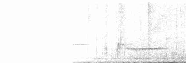 Trillerschneidervogel - ML182889671