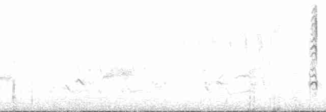 Сокоррский крапивник - ML182891