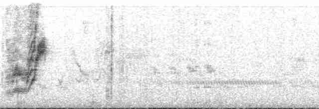 Spotted Towhee (Socorro) - ML182893