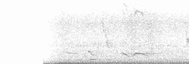 アフリカコウライウグイス - ML182916351