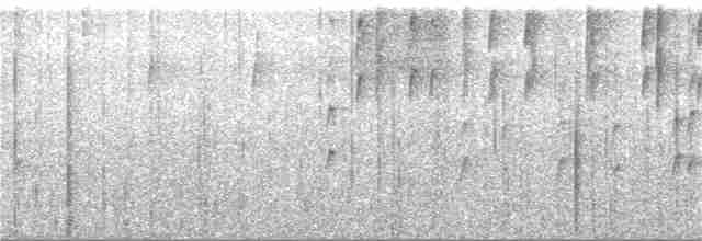 Kara Kulaklı Hemispingus - ML182925681