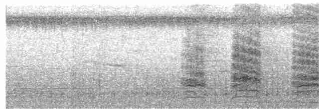 Зондский чирок - ML182986491