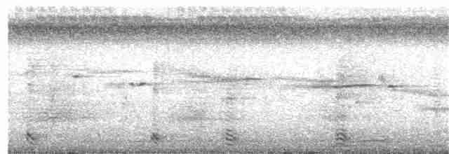 爪哇池鷺 - ML182986521