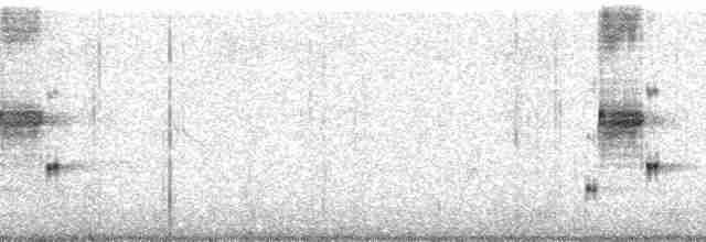 Loggerhead Shrike - ML182993