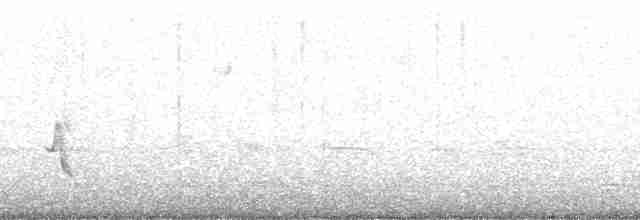 Домовый крапивник [группа aedon] - ML182996