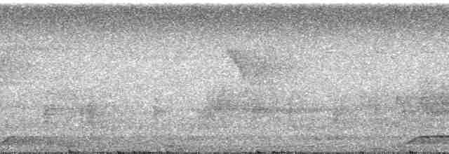 Kızılca Kaşlı Sinekkapan - ML183038