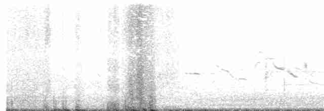 Chihuahuan Meadowlark - ML183054021