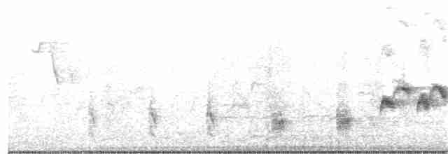 Australian Reed Warbler - ML183090371
