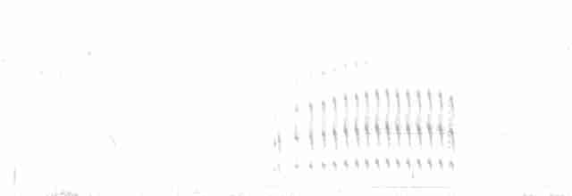 Желтогорлая пищуховая иглохвостка - ML183180891