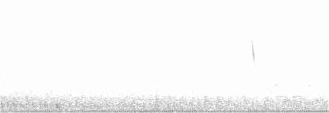 White-browed Meadowlark - ML183187671