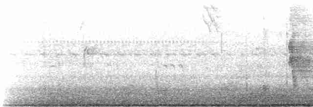 Branta musubeltza (hrota) - ML183204511
