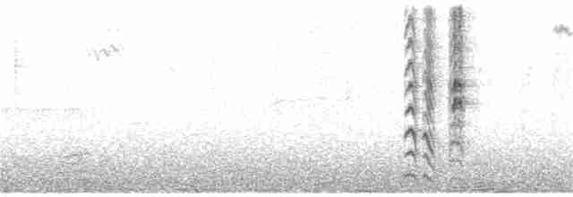 Spotless Starling - ML183209881
