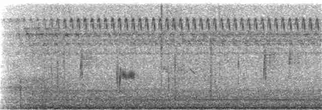 Hermit Thrush (faxoni/crymophilus) - ML183210981