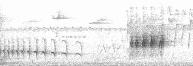 Kestane Karınlı Lacivert Öfonya - ML183225