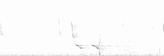 Зернолуск золотодзьобий - ML183257