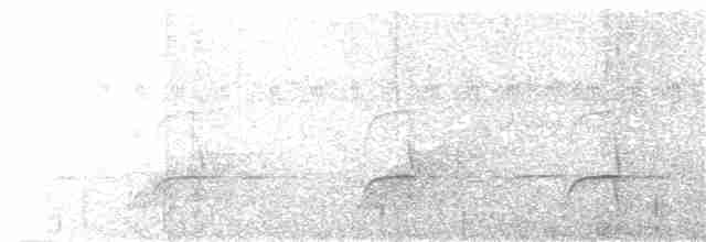 Синелобая якамара - ML183258001